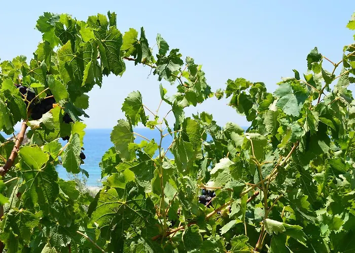 Blue Bliss * Ambrami