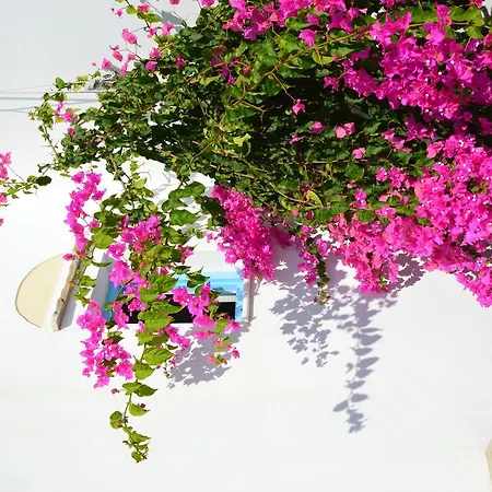 Apartment Blue Bliss